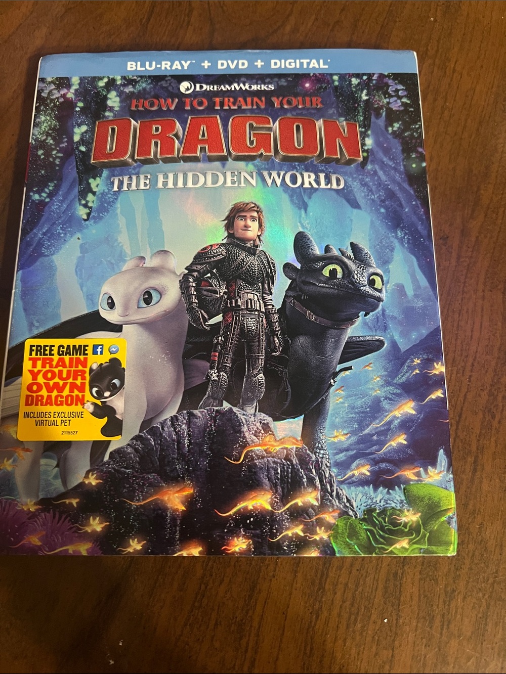 DreamWorks How to Train Your Dragon The Hidden World - Blue Cover